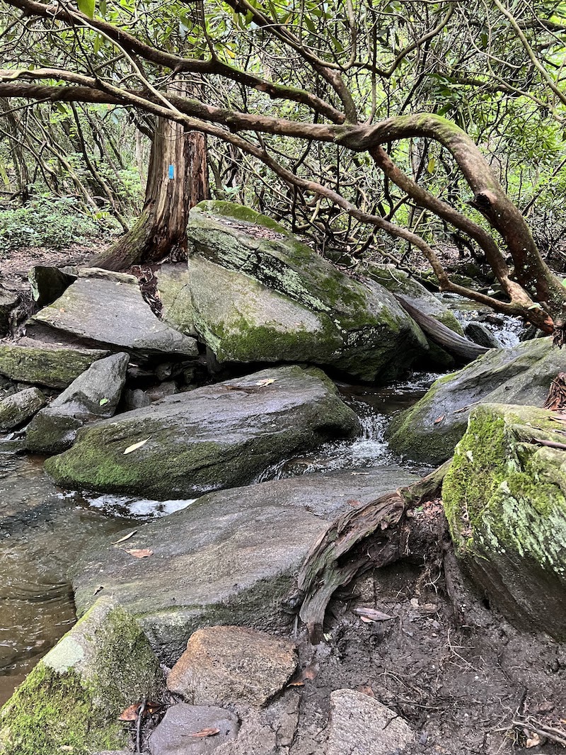 Rocky Stream